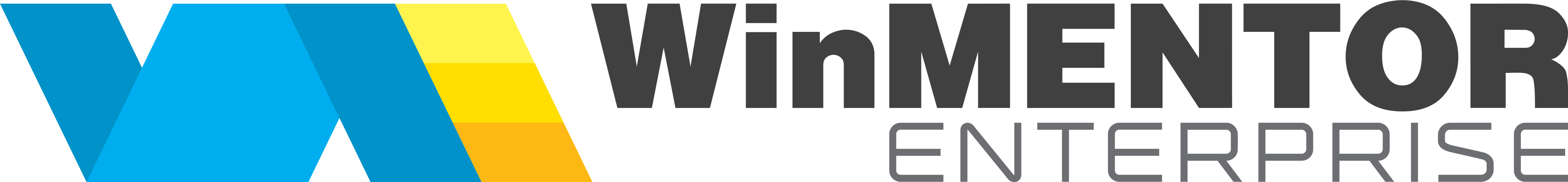 logo winmentor enterprise sistem erp soft net consulting