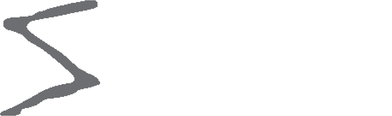 soft net consulting logo negru