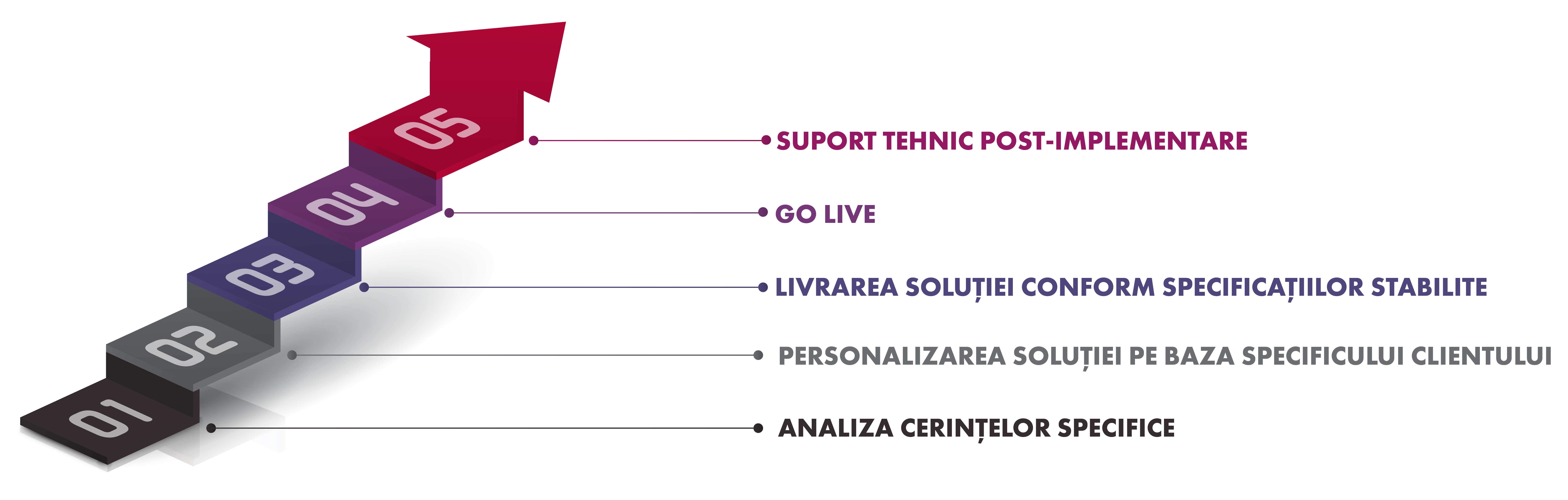 diagrama implementare software erp software implementare software servicii software soft net consulting