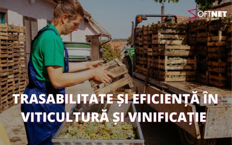 Trasabilitate și eficiență în viticultură și vinificație cu Soft Net Consulting